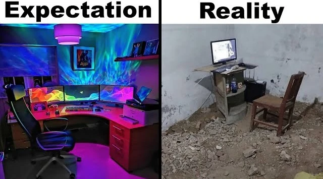 being a pro player expectations vs reality meme